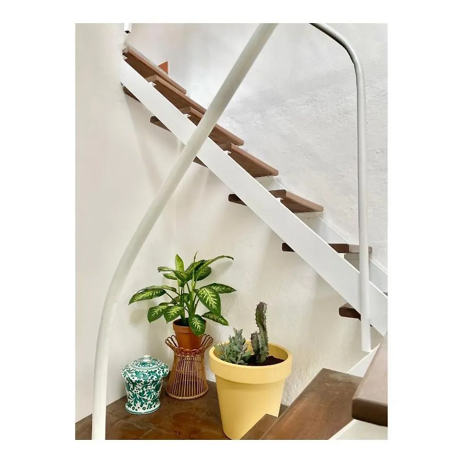 Casa Curie Villa Moltrasio Holiday home